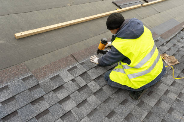 Best Local Roofing Companies  in Brown City, MI