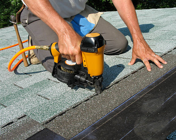 Best Roof Repair Services  in Brown City, MI