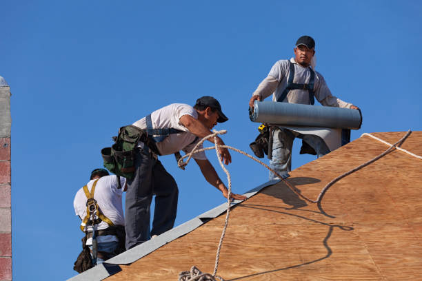 Roof Waterproofing Services in Brown City, MI