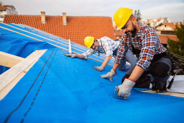 Best New Roof Installation  in Brown City, MI
