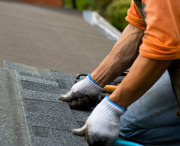 Best Affordable Roofing Company  in Brown City, MI