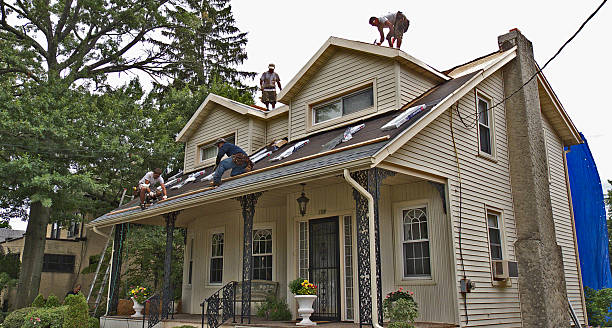 Best Roof Gutter Cleaning  in Brown City, MI